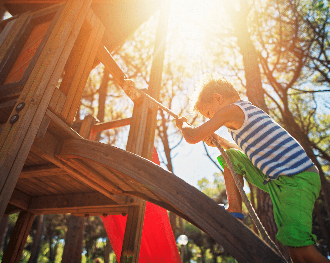 Tree House