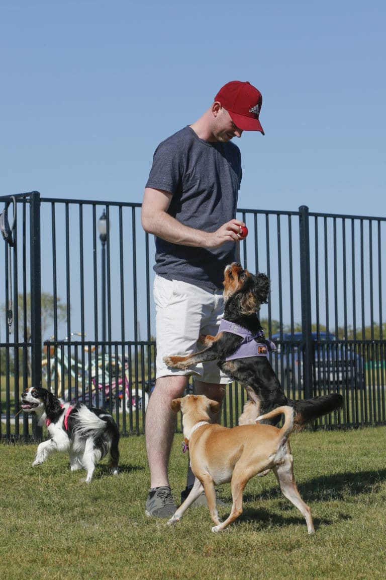 Man Playing with His Dogs at Sandbrock Ranch's Dog Park