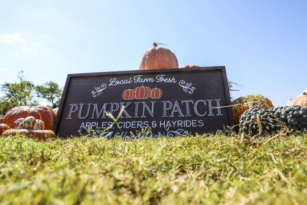 Fall Bucket List