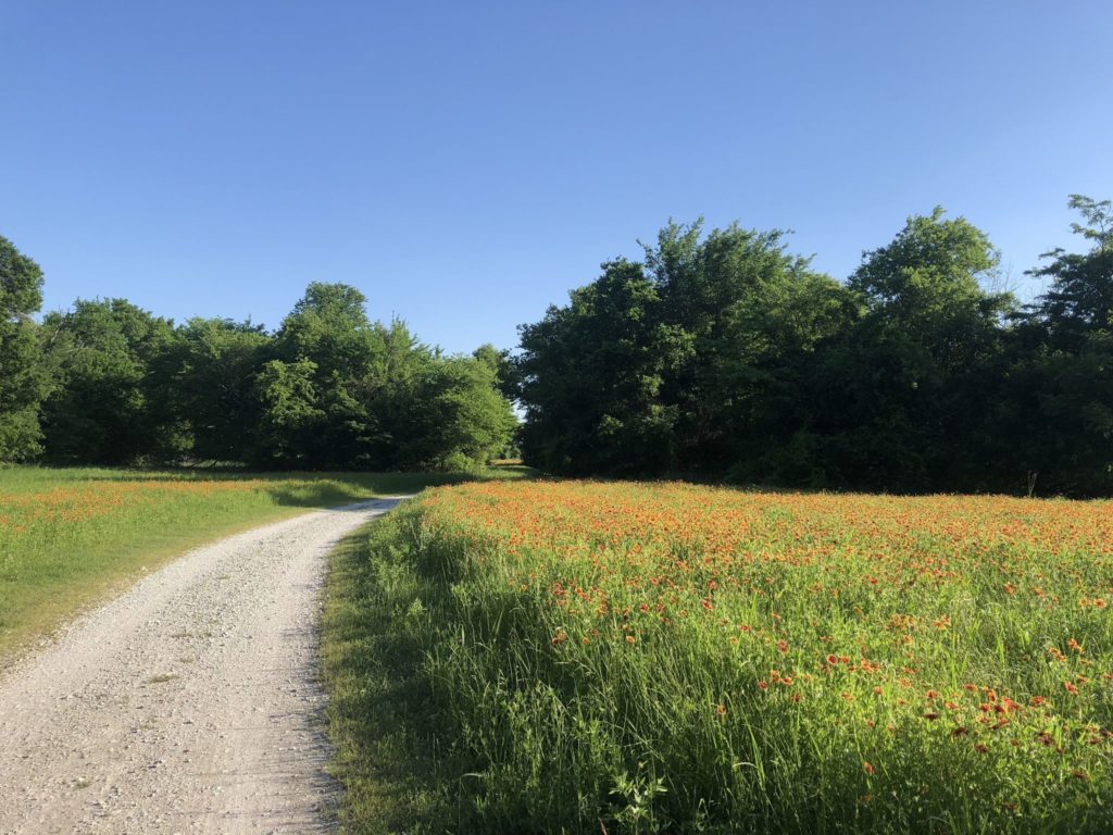 Your Natural Playground Awaits